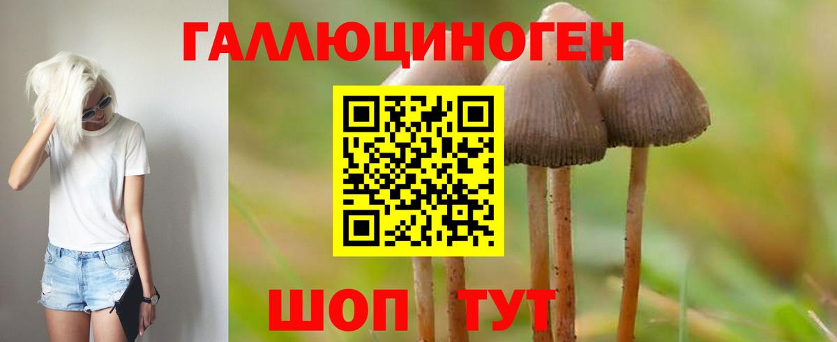 Галлюциногенные грибы Psilocybe Алушта